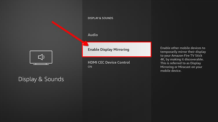 Select the Enable Display Mirroring feature